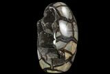 Polished Septarian Geode Sculpture - Black Crystals #99444-3